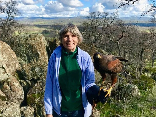 Birdsong By The Seasons: A Year of Listening To Birds - Reviewed by Susan Glass