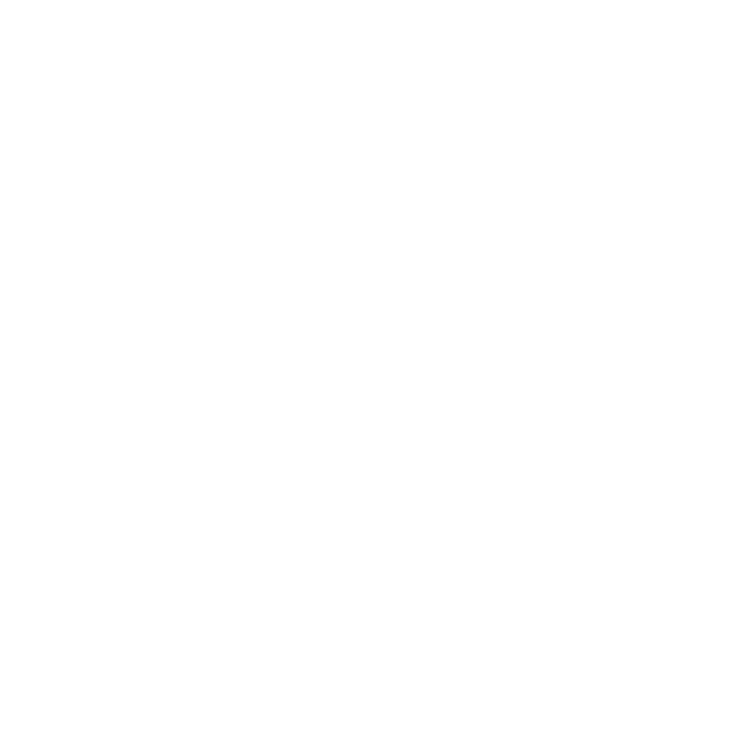ANPM Studios ( Abe Neihum Photography &amp; Media Ltd )