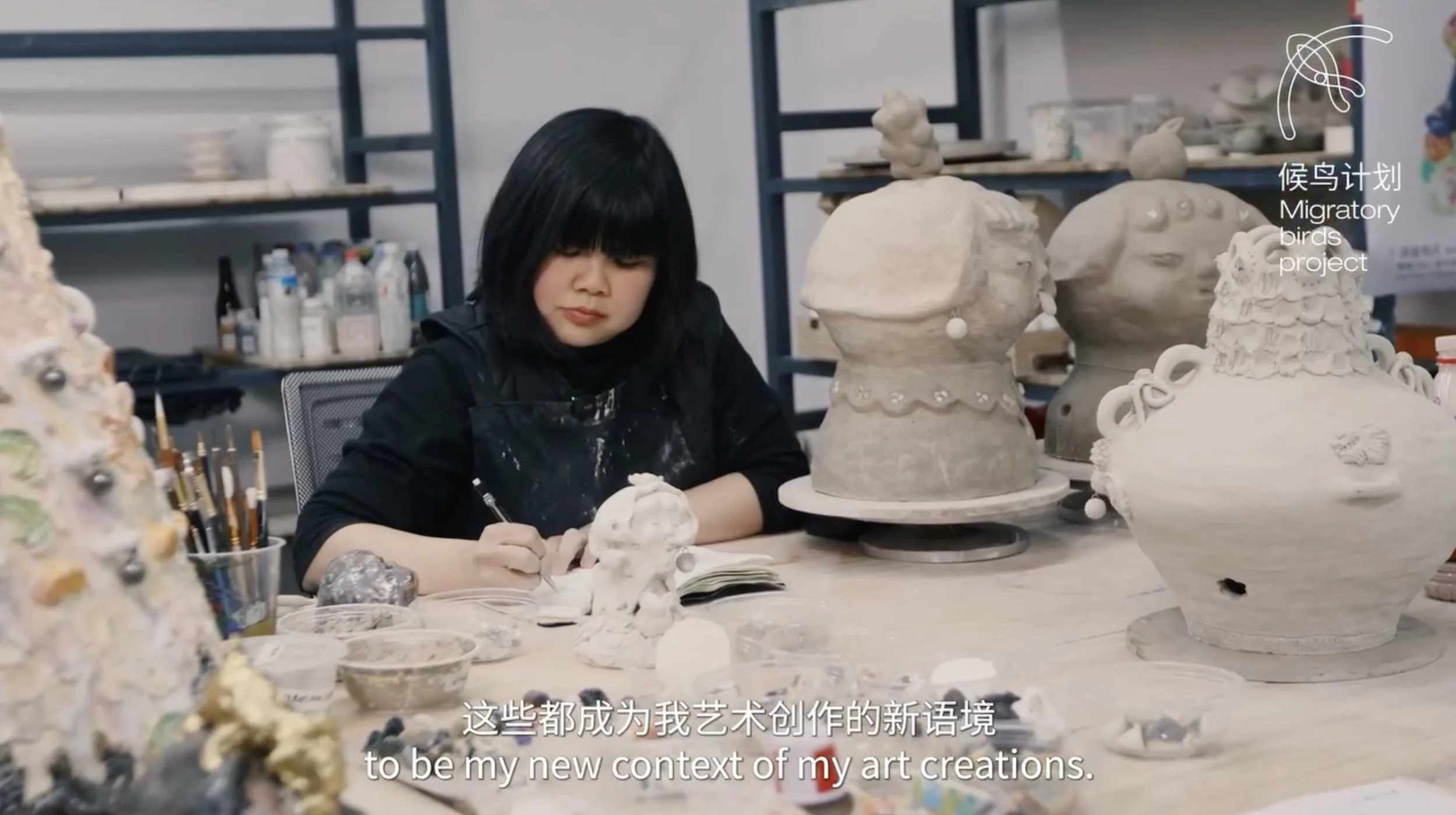 Migratory Birds Project