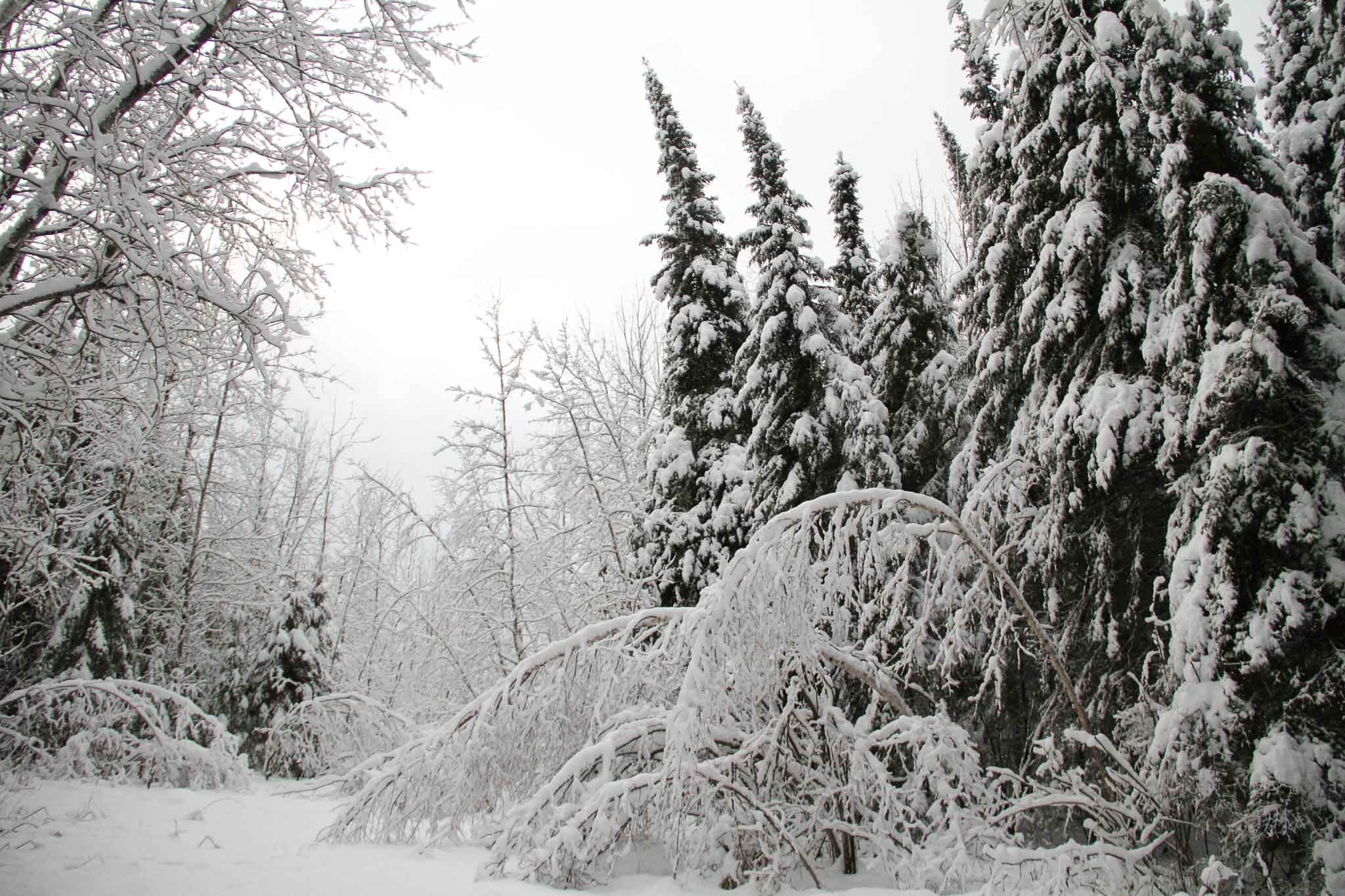  Winter trail, Neebing, Ont. 