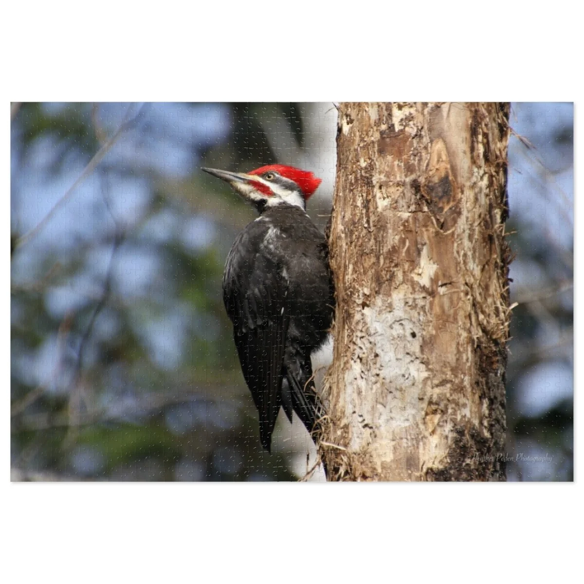 edb9033b97642c5e6ddfe38e40c8ba8a