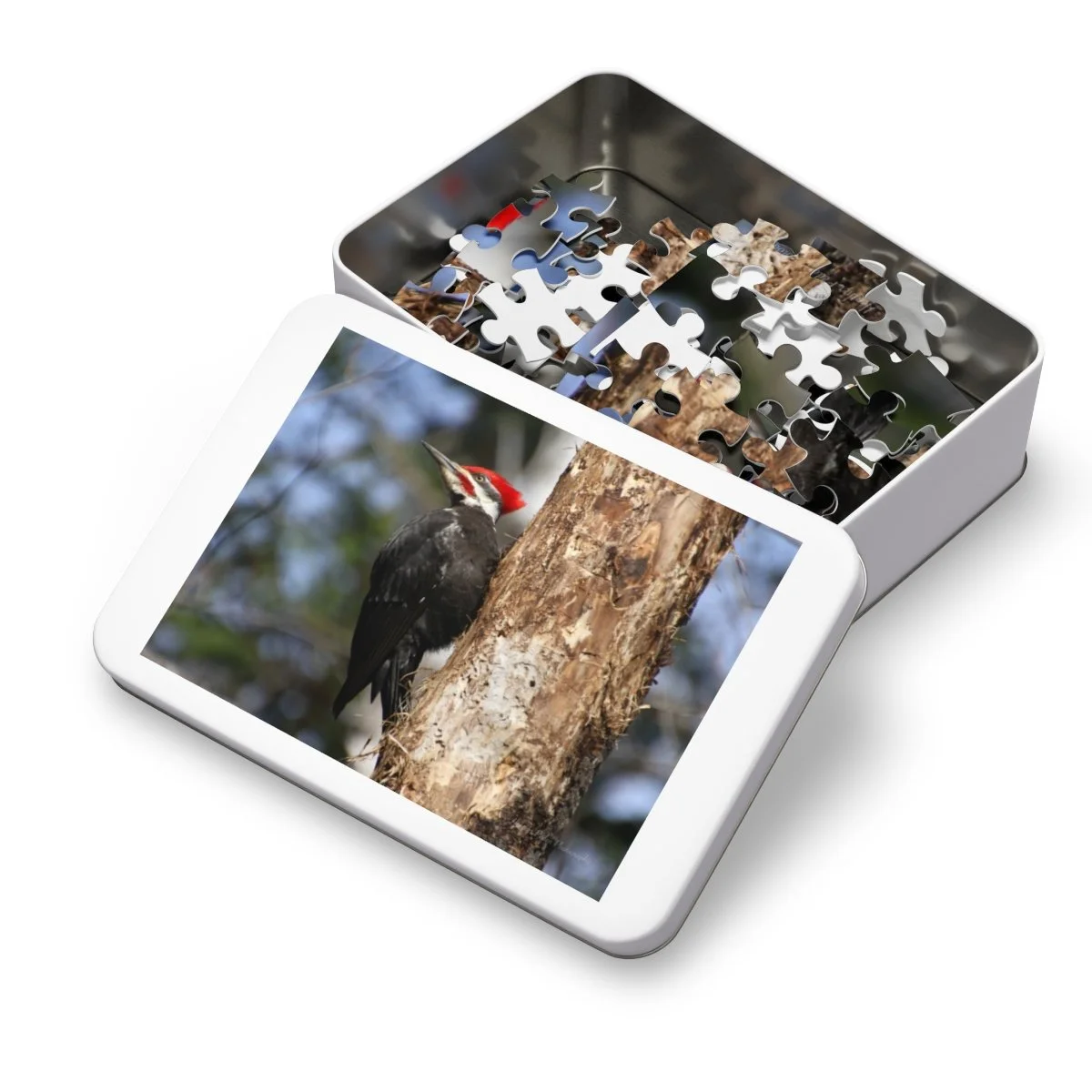 8f8fdd092762da2397e52ad237874bb1