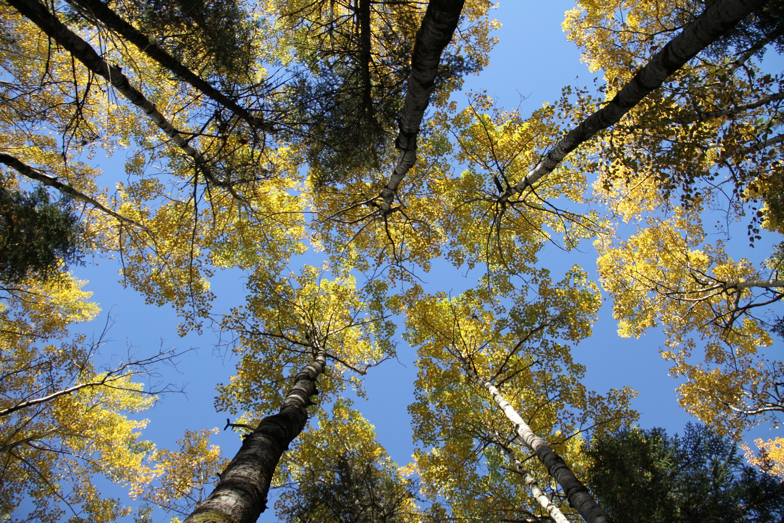 October 2016 150.jpg