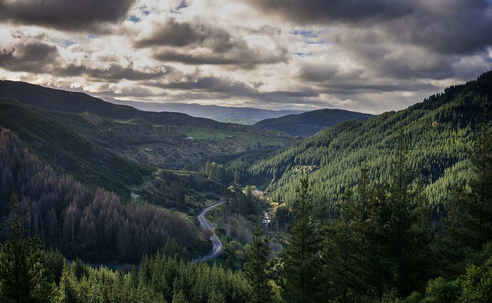 Diligent Wealth Management