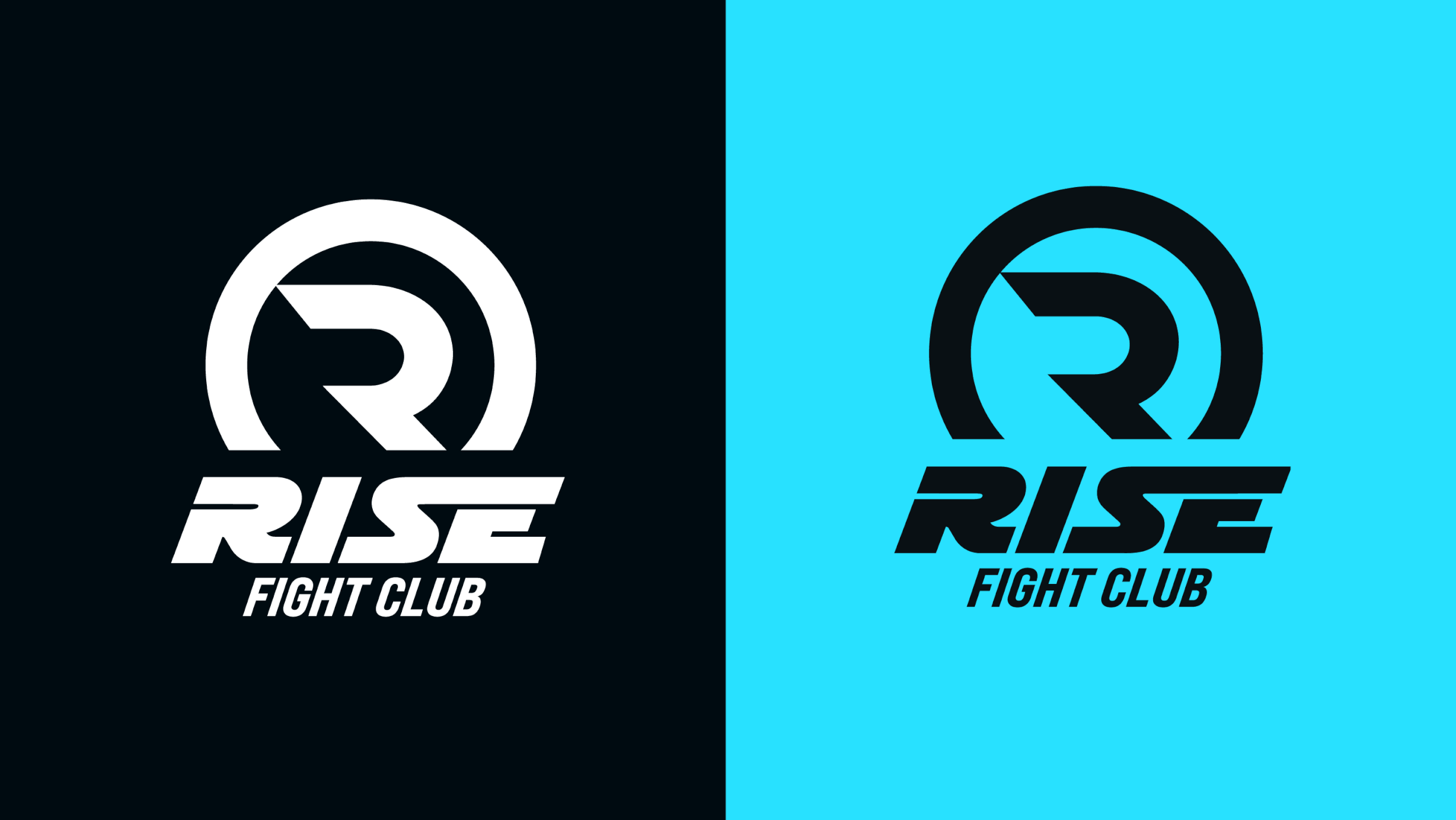 RiseFC_logos.gif