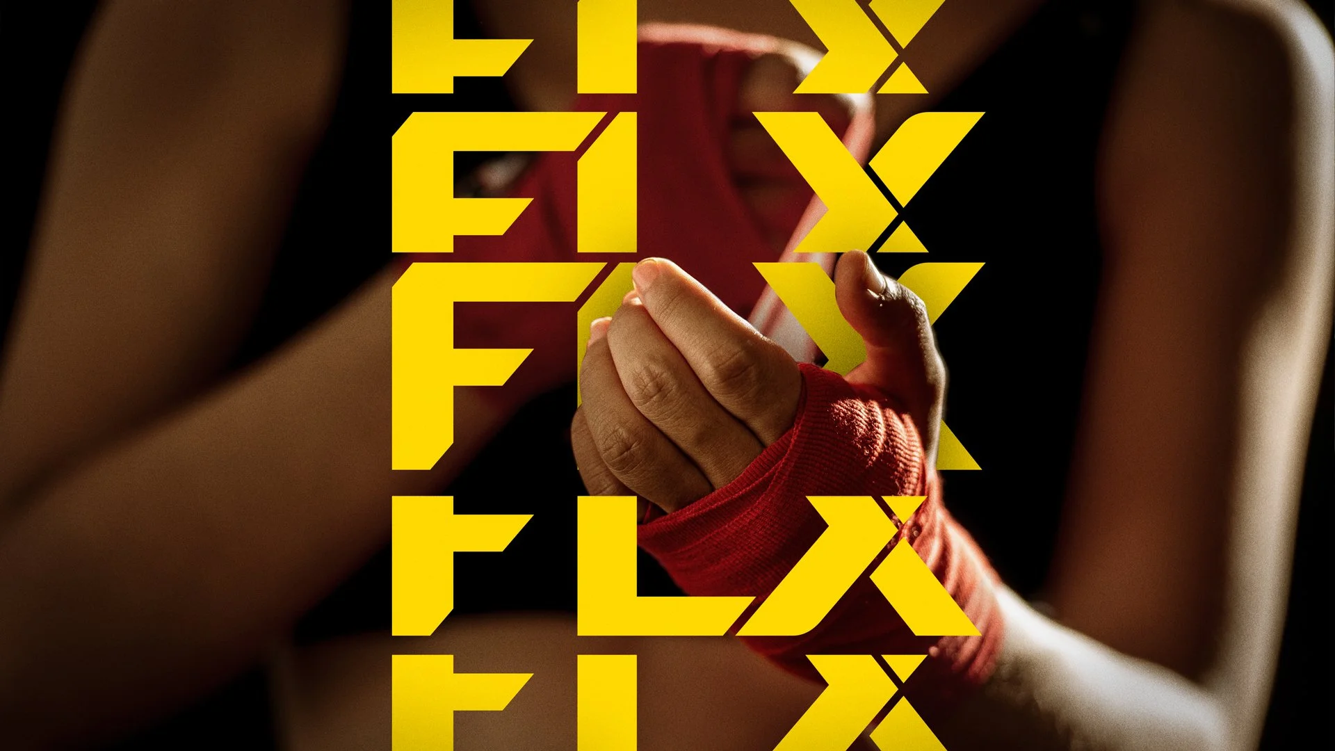 SD_FLX_Frame_2.jpg