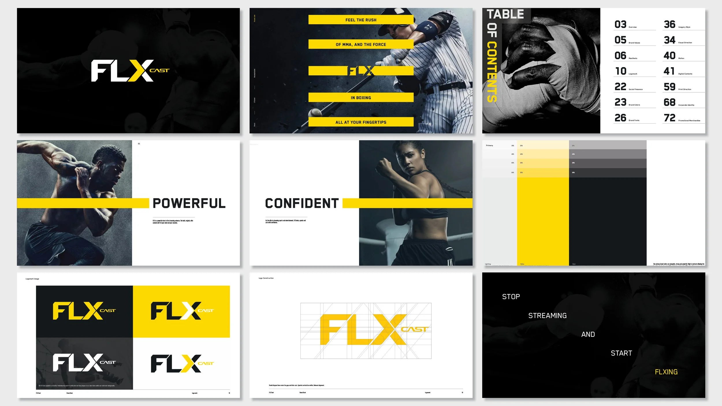 FLX_Brandguidelines_1.jpg