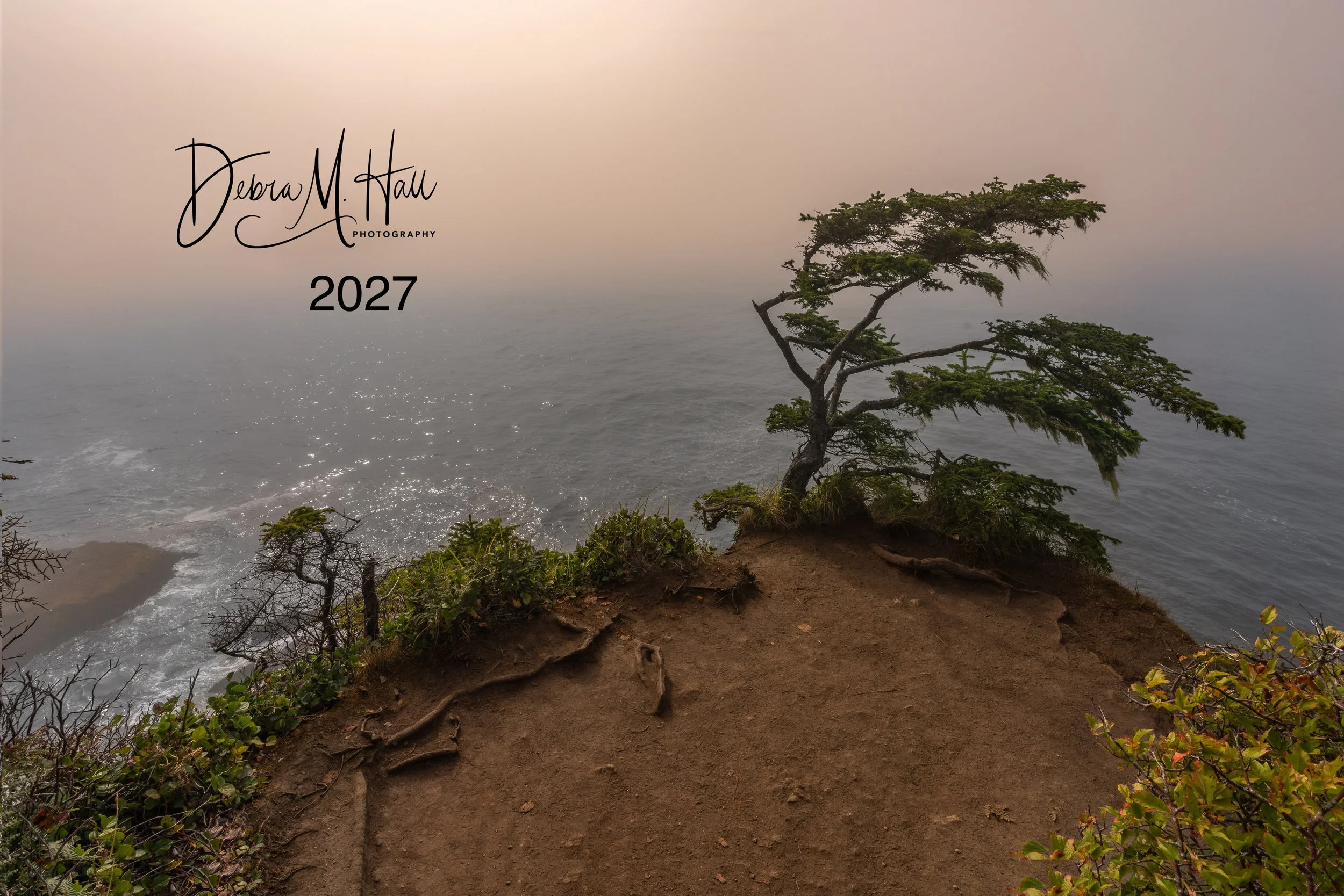 Cape Flattery.jpg