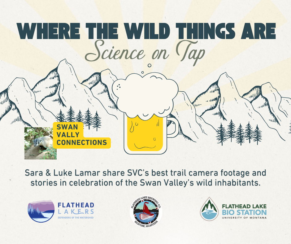 Science on Tap February 2026