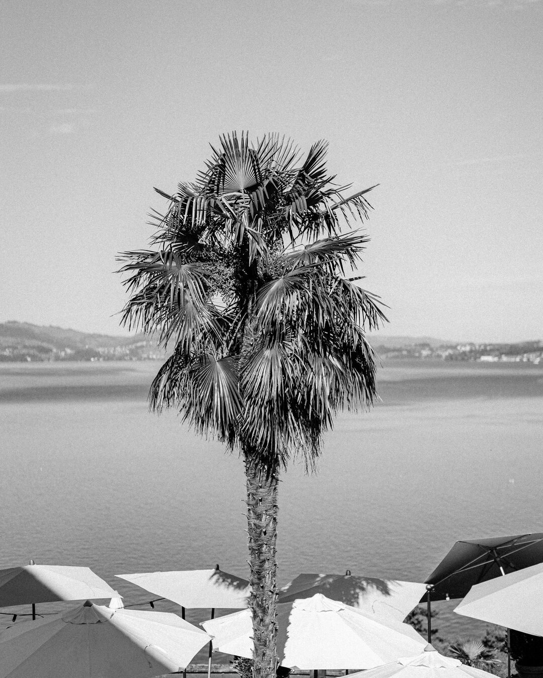 @hotel_floraalpina is such a beautiful place for your Wedding. We the view towards Lake Lucerne, it is the Perfect Setup for breathtaking Wedding photos.⁣.​​​​​​​​​​​​​​​​​​​​​​​​​​​​​​​​​​​​​​​​​​​​​​​​​​​​​​​​​​​​​​​​
.​​​​​​​​​​​​​​​​​​​​​​​​​​​​​