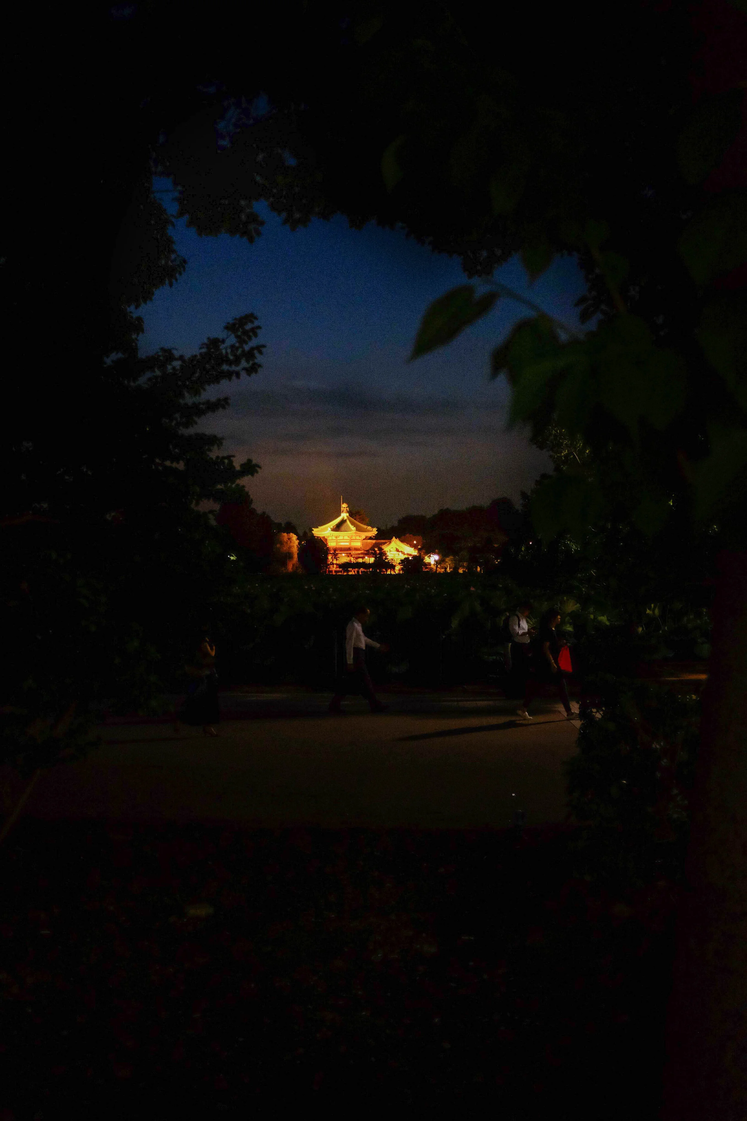 temple in the trees-2.jpg