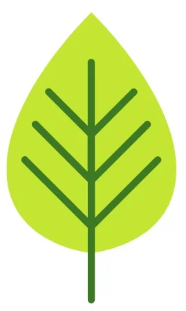 Ekos+blog+-+The+Gift+Trust