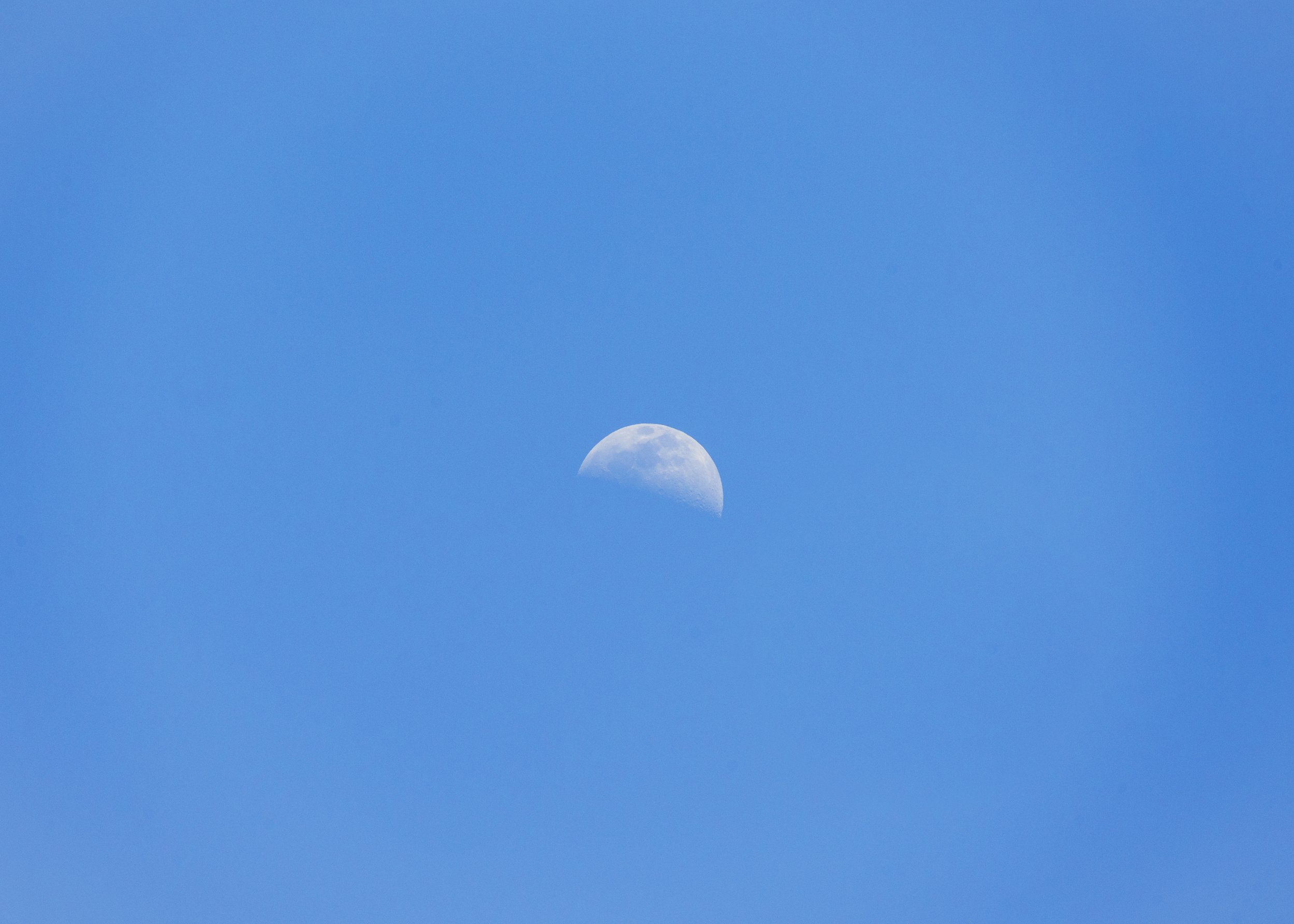 DSC09311.jpg