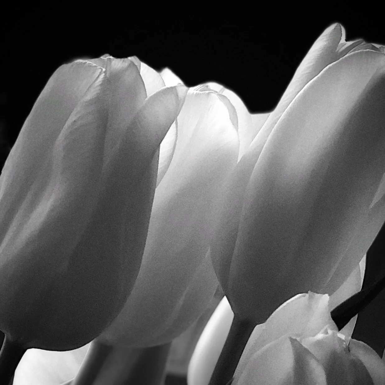 FullSizeRender 4.jpeg