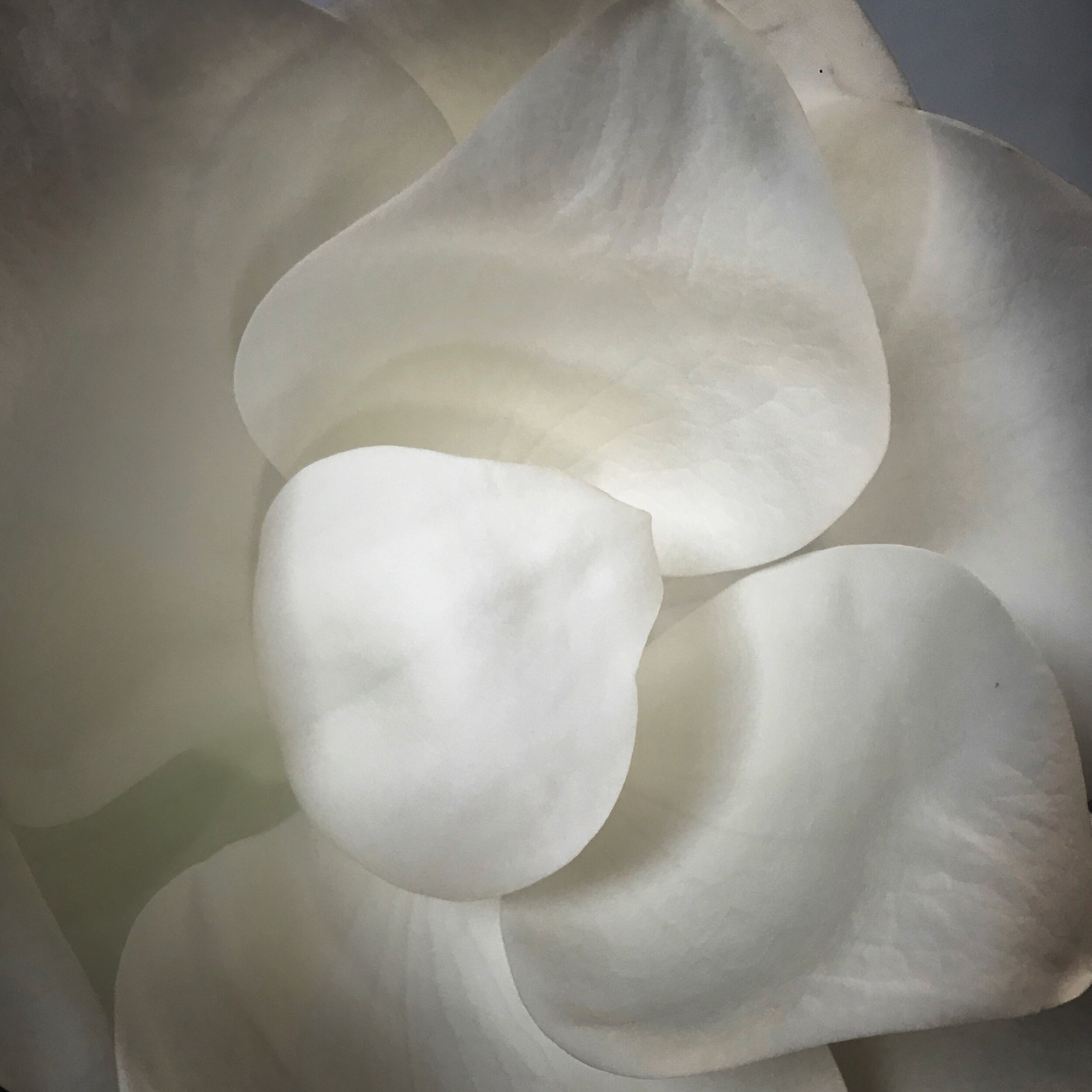 FullSizeRender 3.jpeg