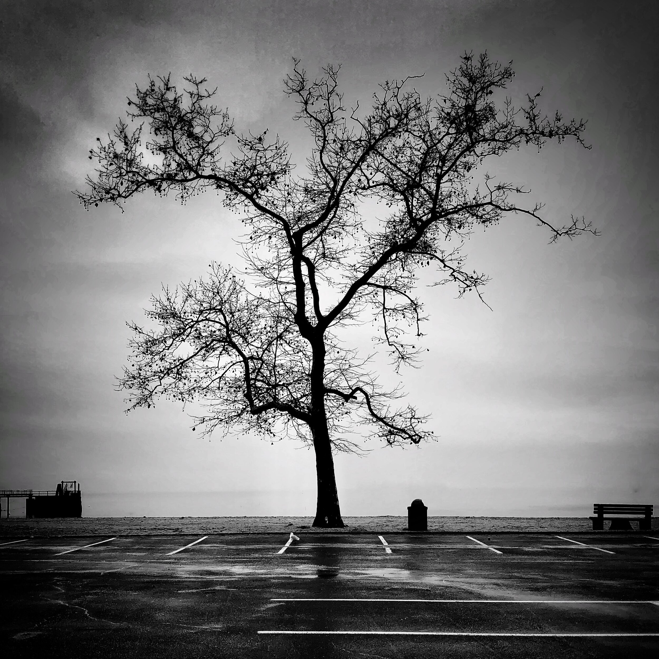 FullSizeRender 4 2.jpeg