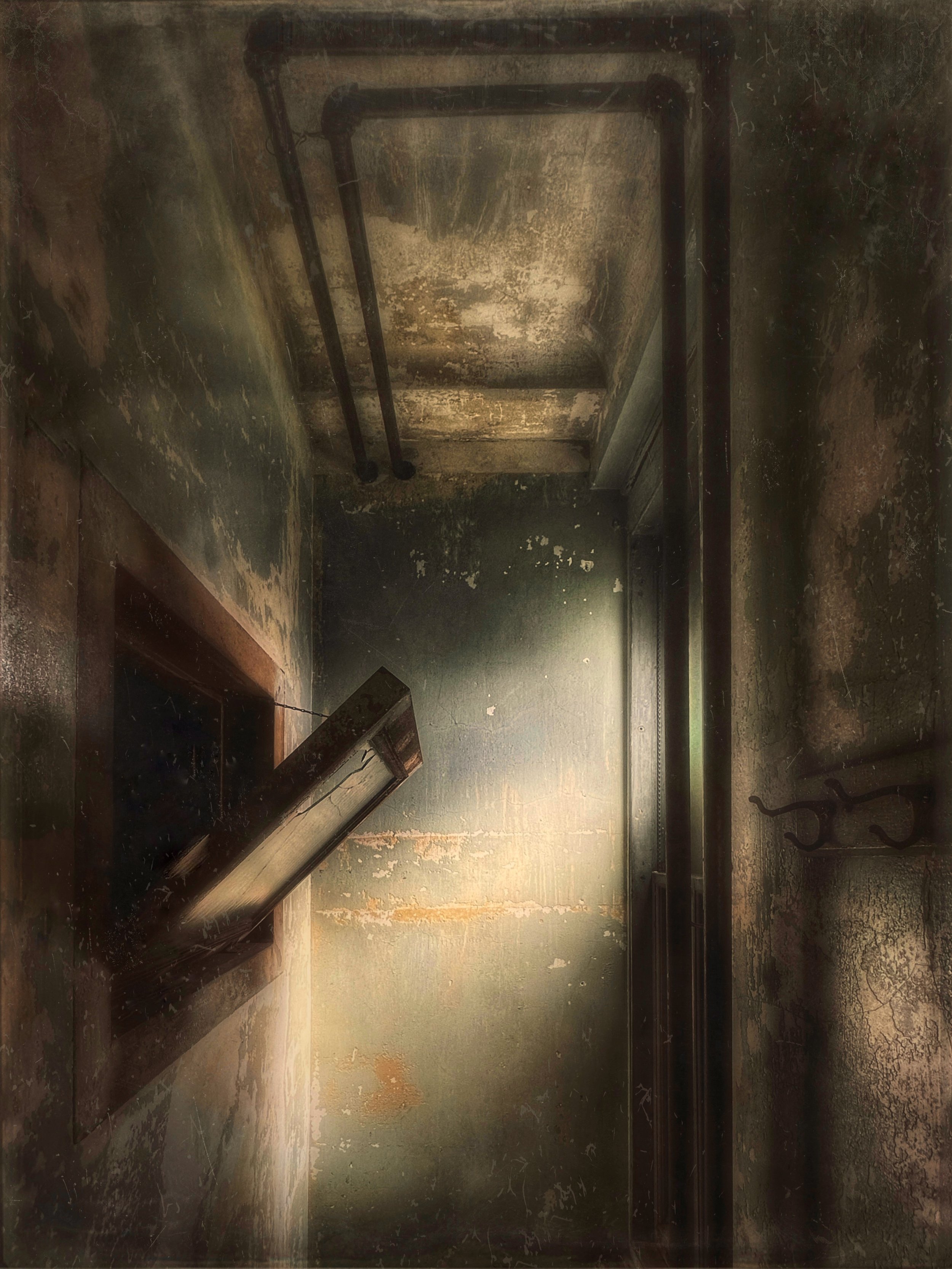 JPEG image-49A1-976D-BD-0 copy 2.jpeg