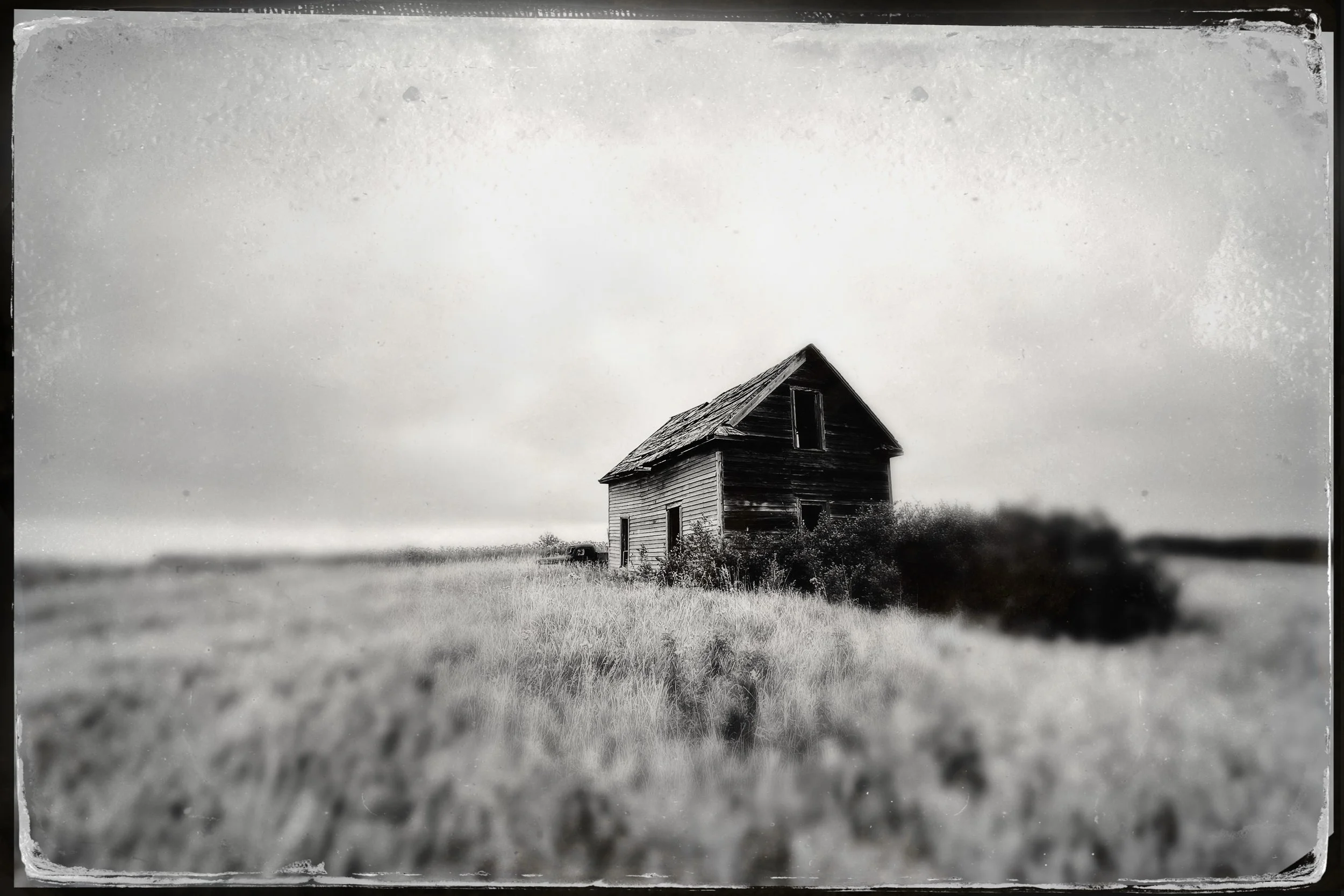 Tin Type