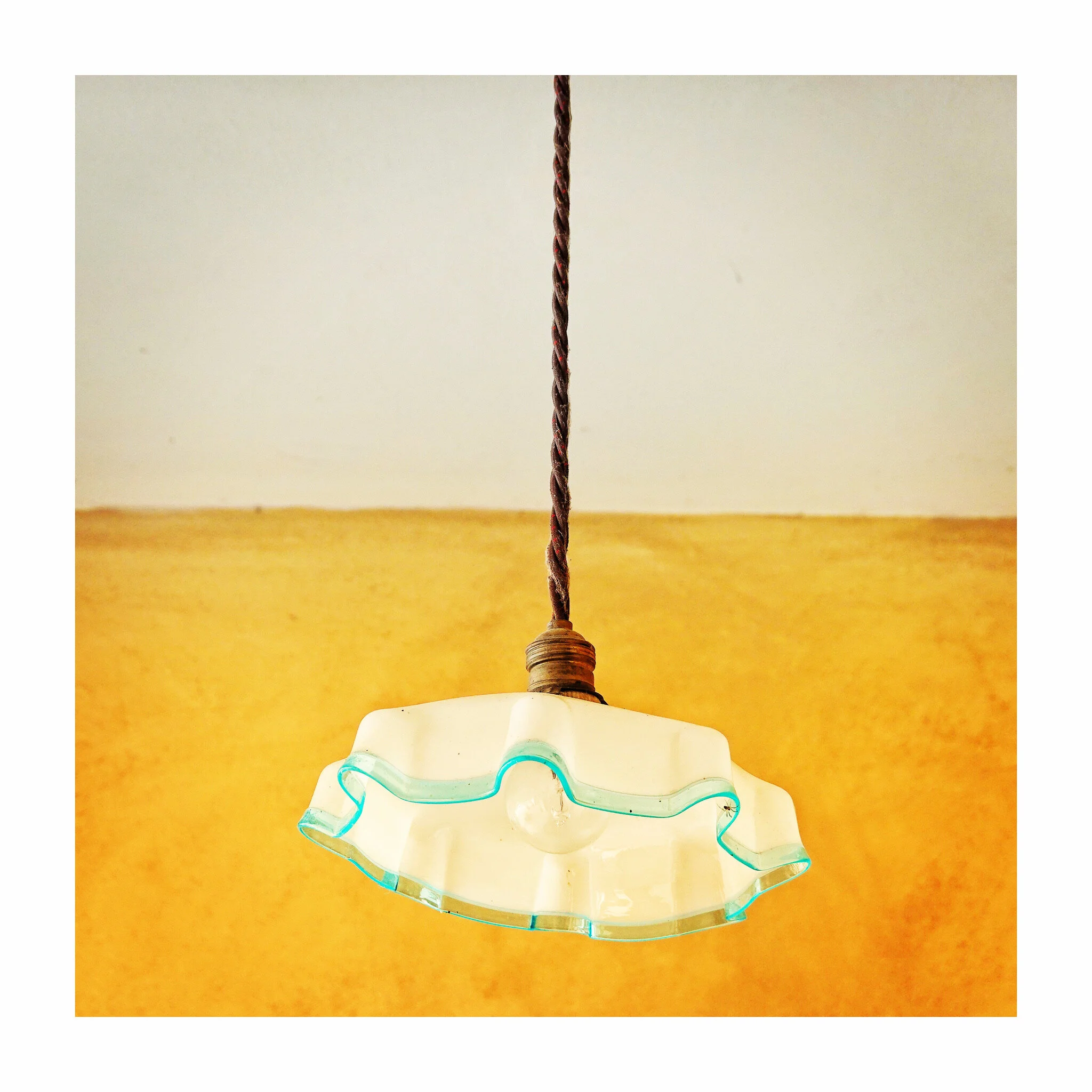 37FFA854-75E9-43DB-92E5-D6DE842059D2 copy.jpeg