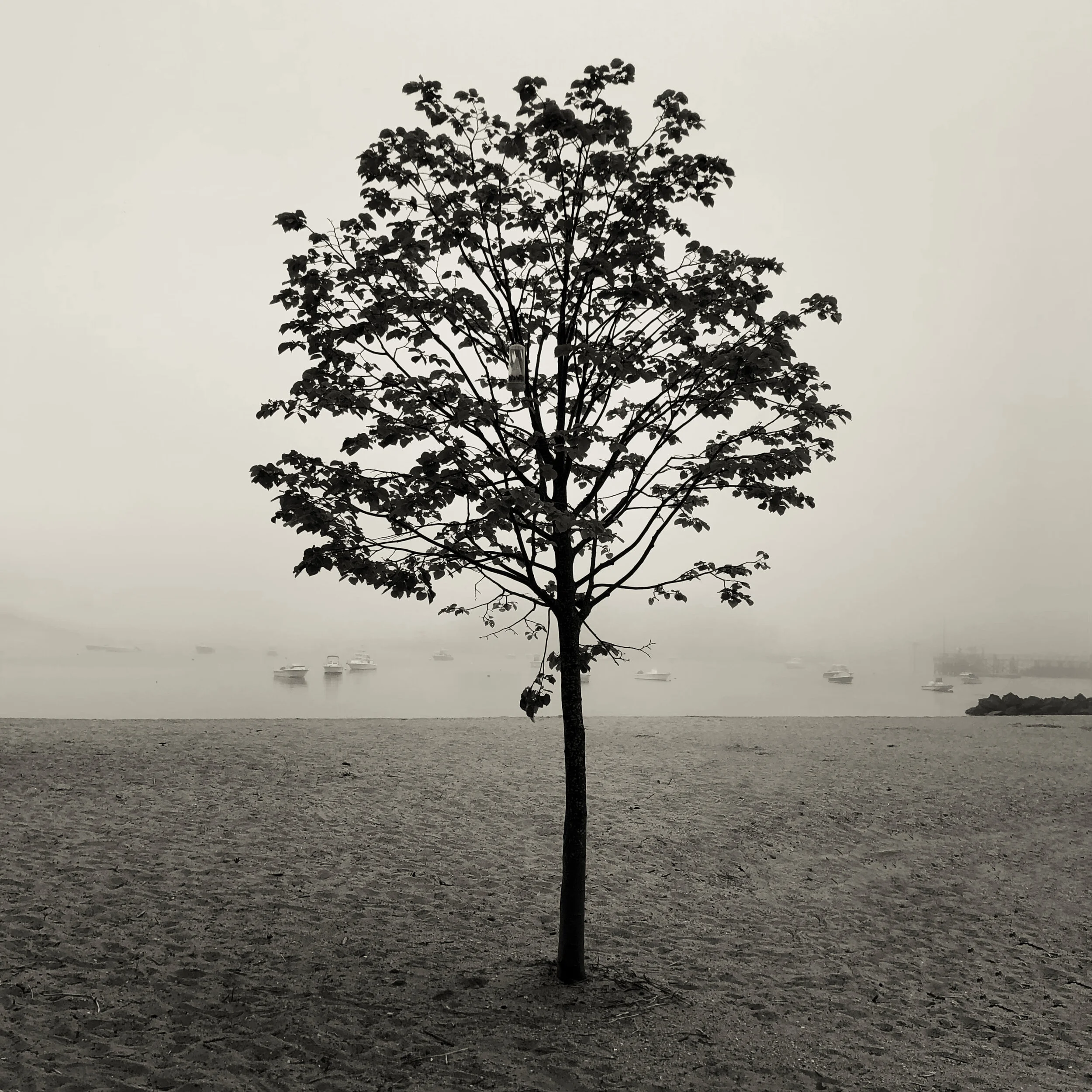 JPEG image-983E0E66172C-1.jpeg