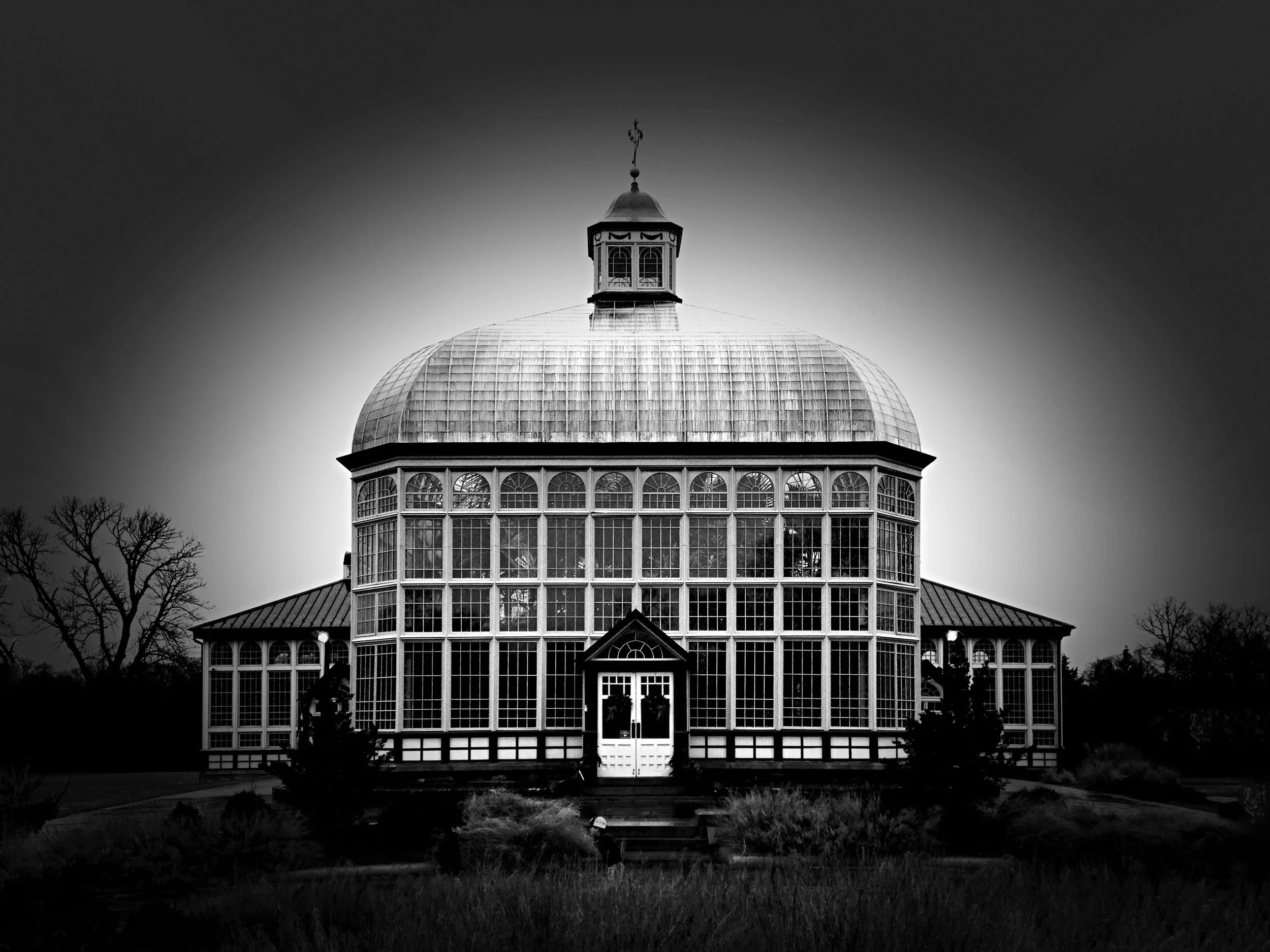 DramaticBlackWhite258872876 copy.jpeg