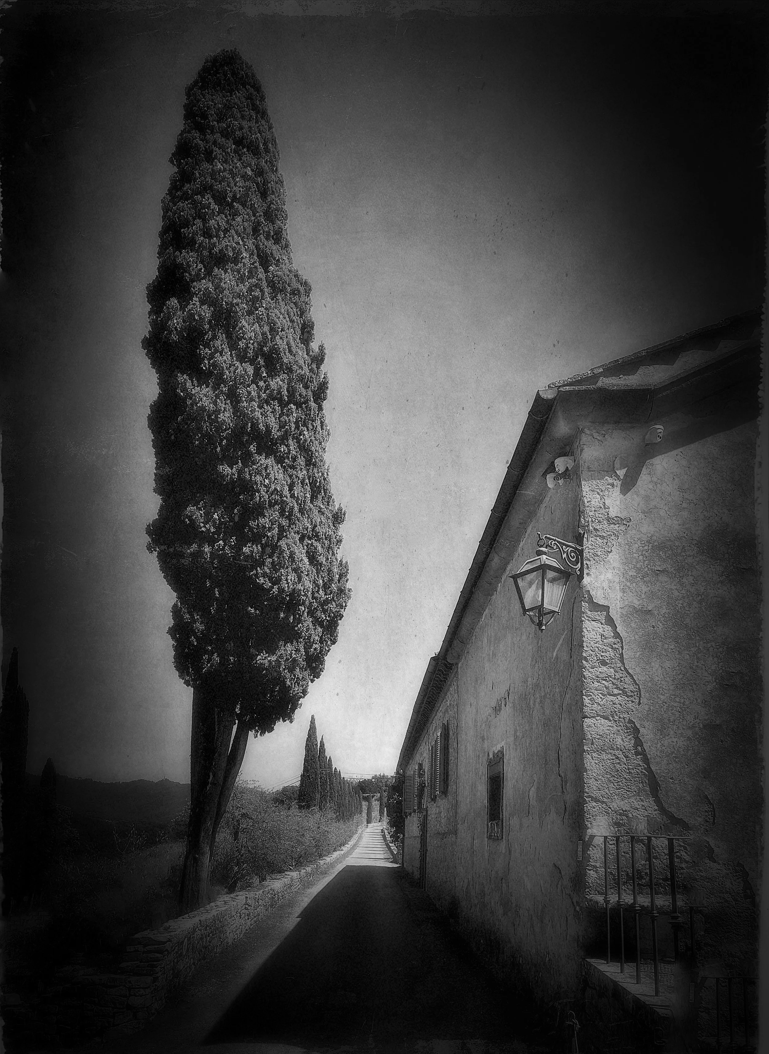 DramaticBlackWhite88178339 copy.JPG