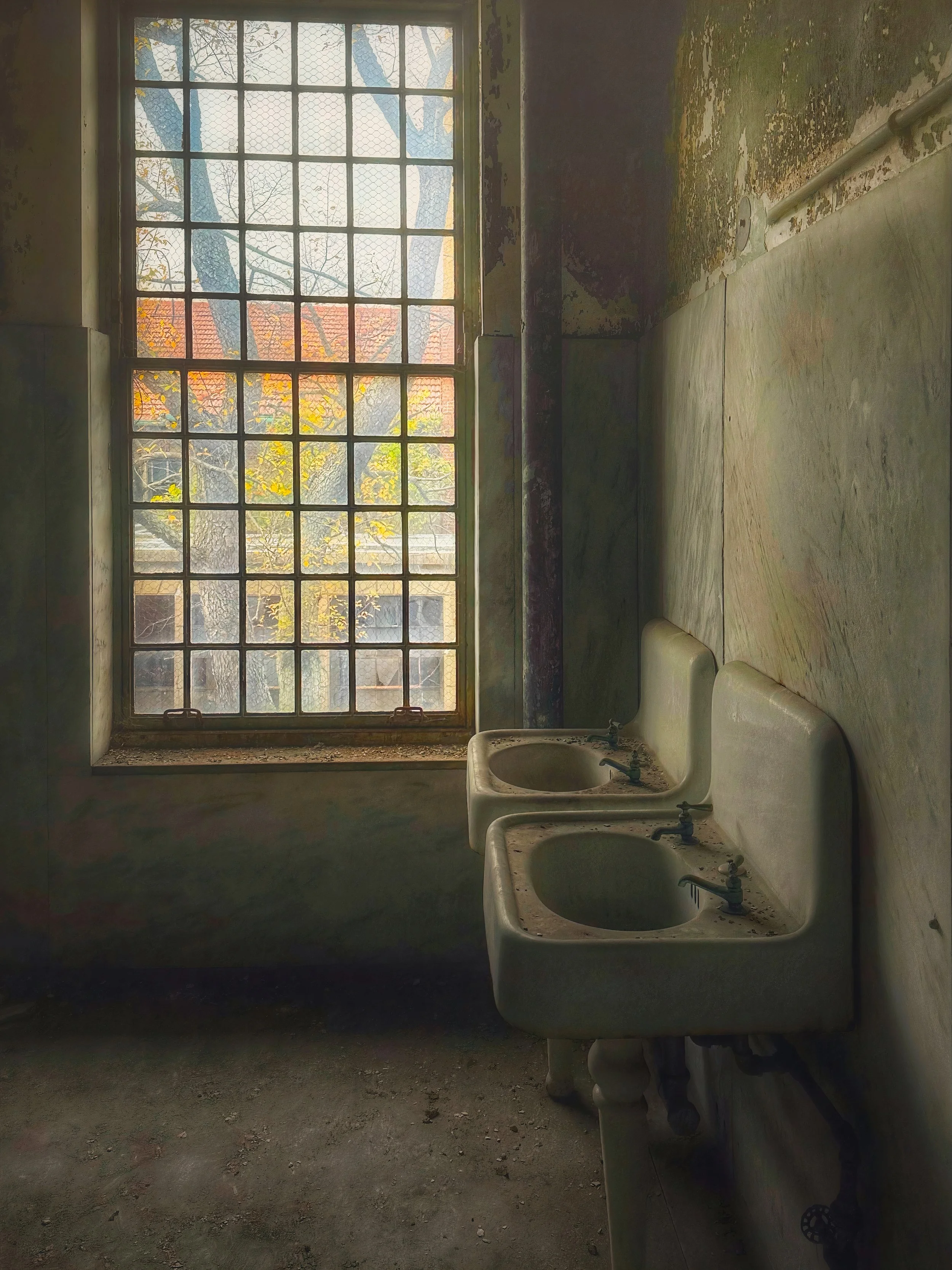 IMG_2052 L. Smith Image 6 copy 2.jpg