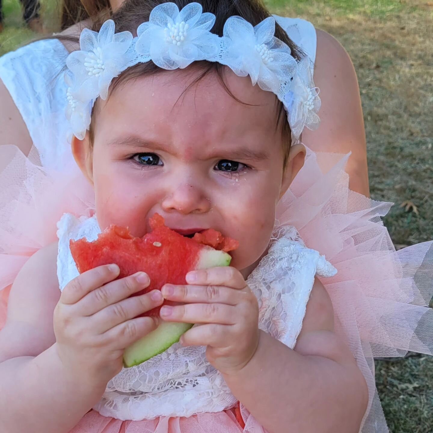 When Daddy, the Groom, forgets the dummy for his adorable Flowergirl .... watermelon doesn't really cut it! 

#whereismydummy 
#watermelon 
#flowergirl 
#sweetflowergirl 
#yeslotsoftears 
#nothappydad