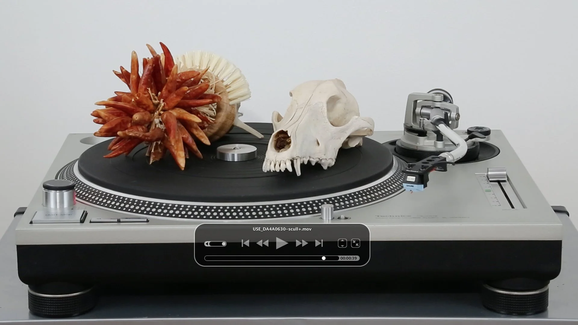 NamingThings—DJ Ayahuasca—1920x1080.jpg