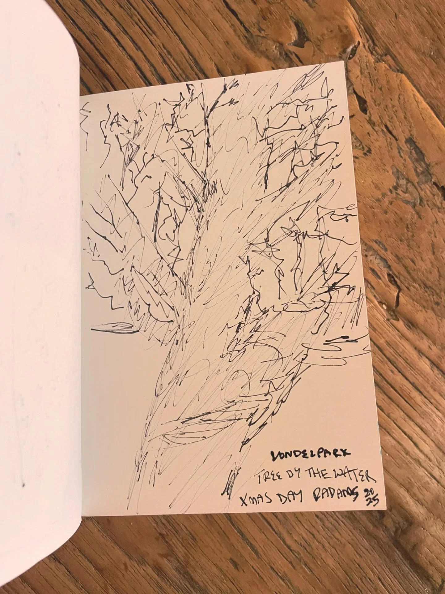 Xmas, tree 🌳 ✨

#tree #sketch #vondelpark #christmas