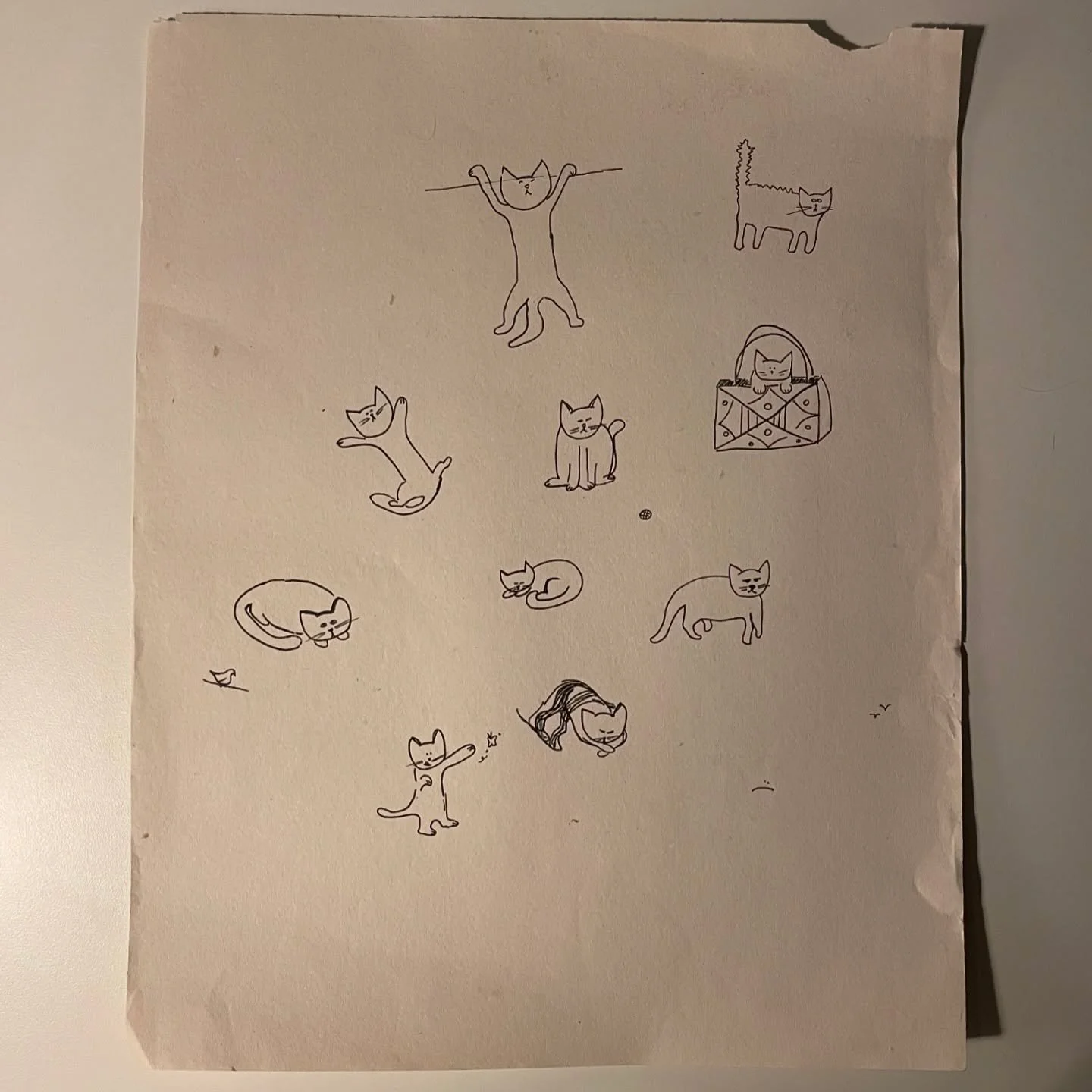 Unfinished works. I think I copied the second ones. Yeah. Cats are Yoshi inspired 🐈&zwj;⬛