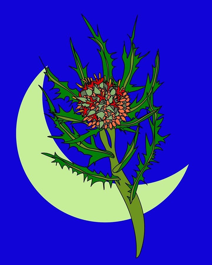 Eid Mubarak 🌙🌿

@andek_akkoub