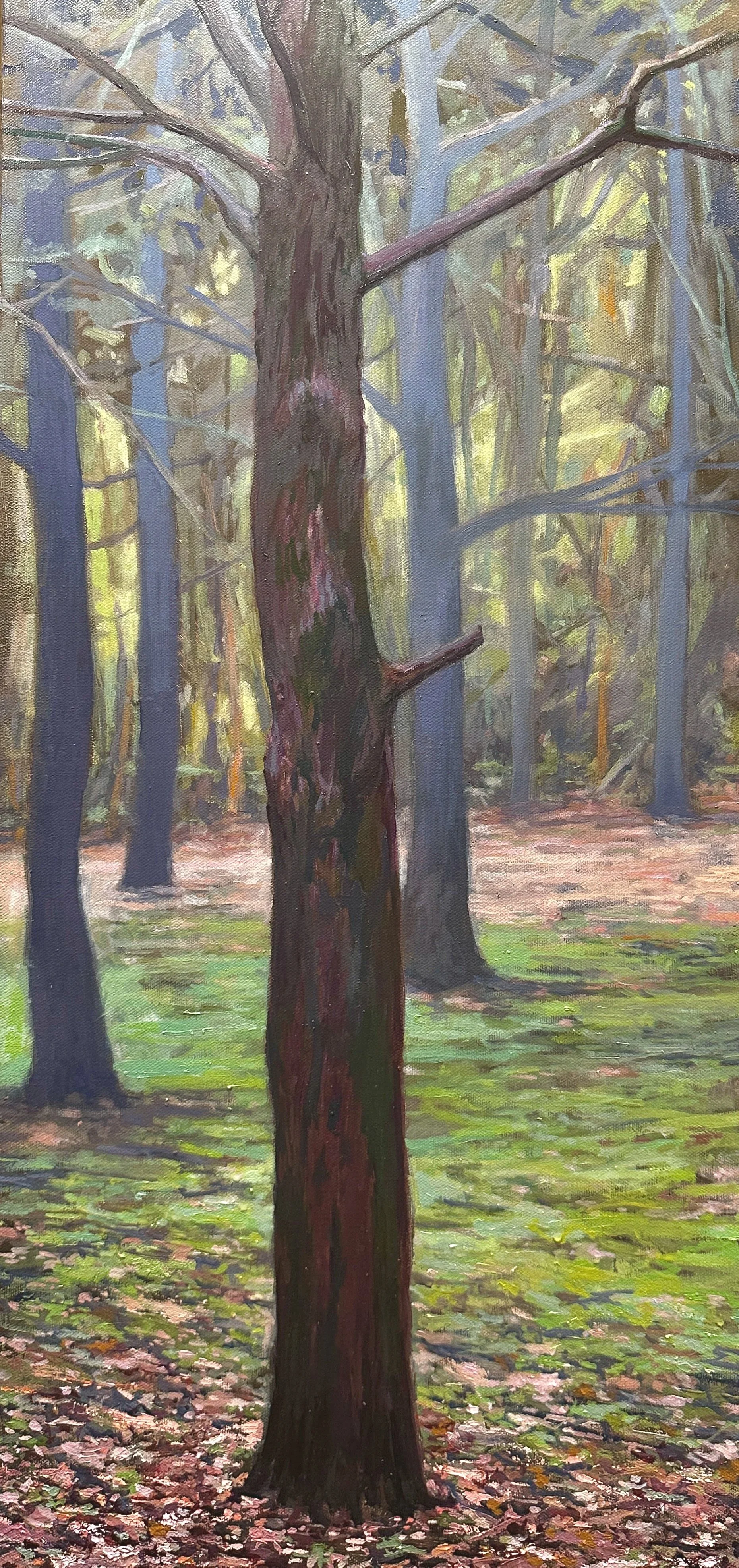 Old Pine, November. Somerset, MA. 13X26. $1,300 [SOLD]