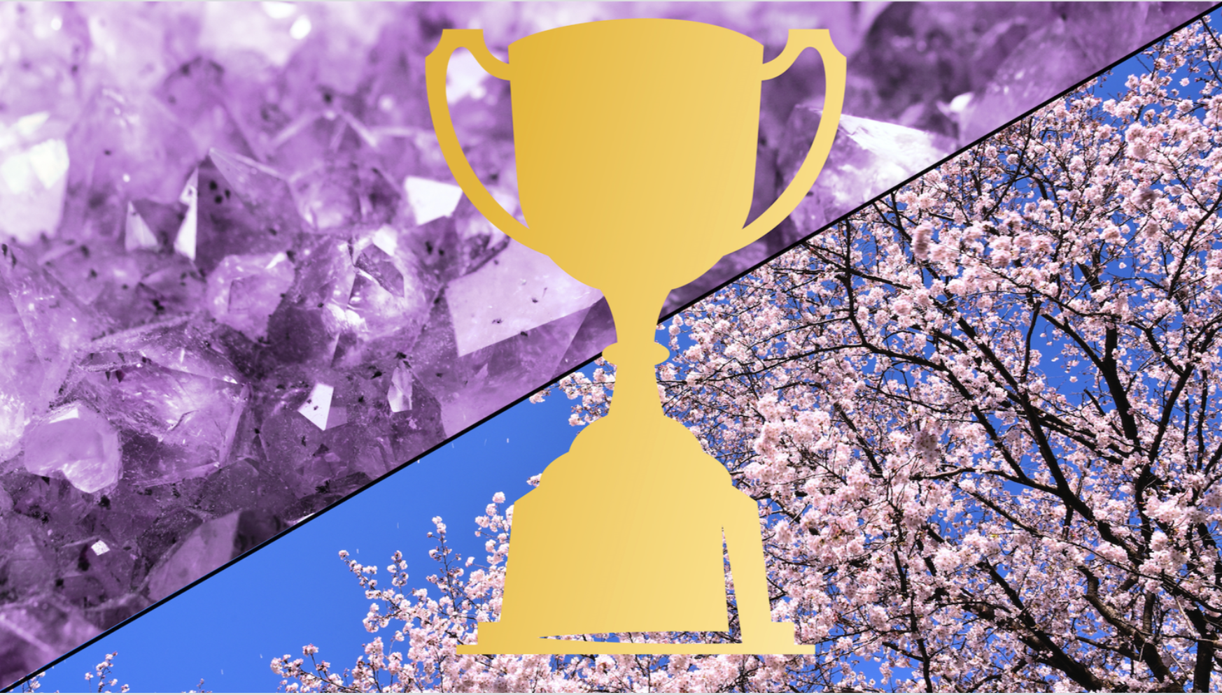 2026 NOF Amethyst &amp; Cherry Invitational Results! 