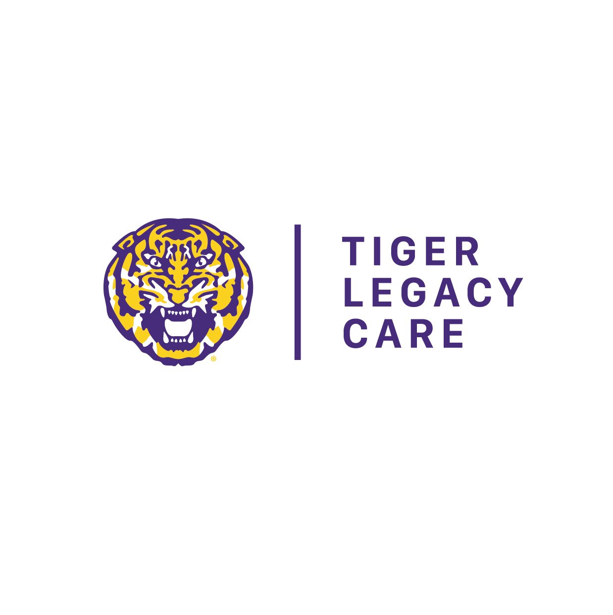 LSUBrand-TigerLegacyCare-HEX-08.jpg
