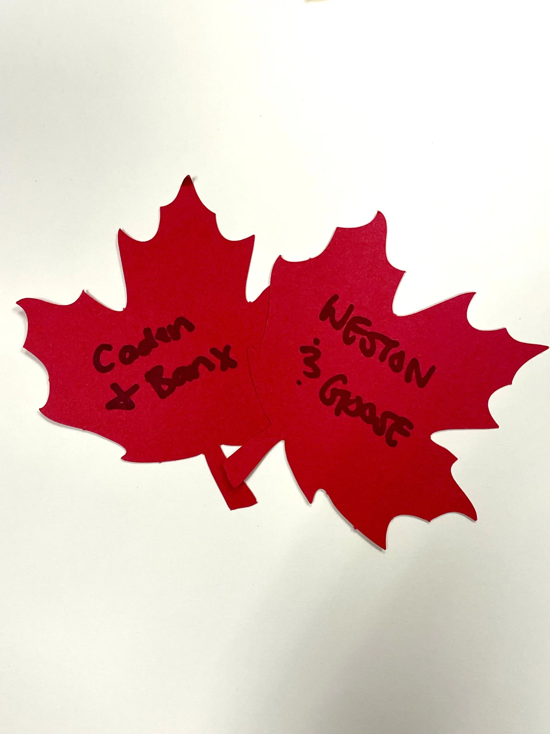 Thanksgiving Leaf 5 2025.JPEG