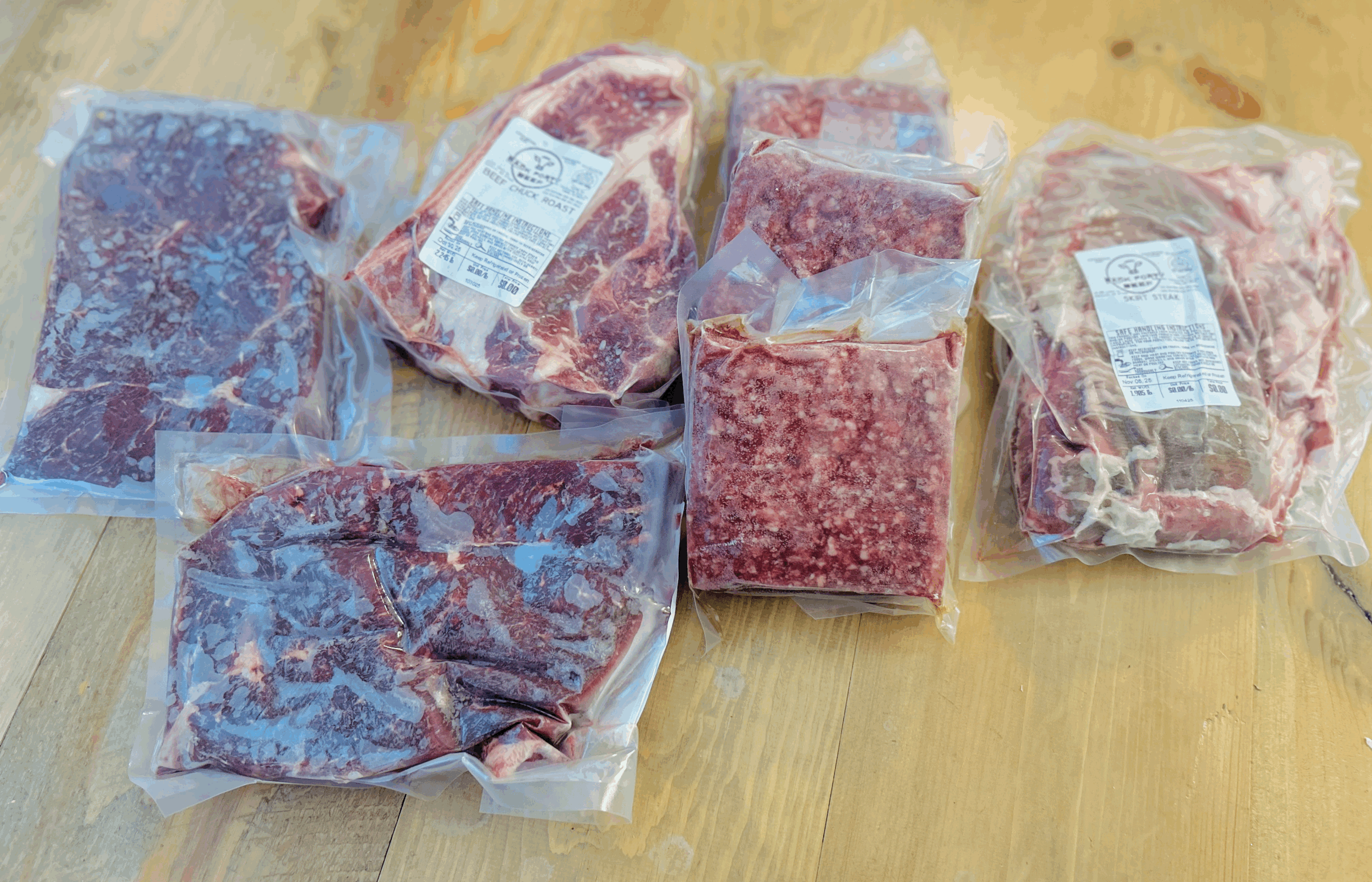 Family Favorites Bundle