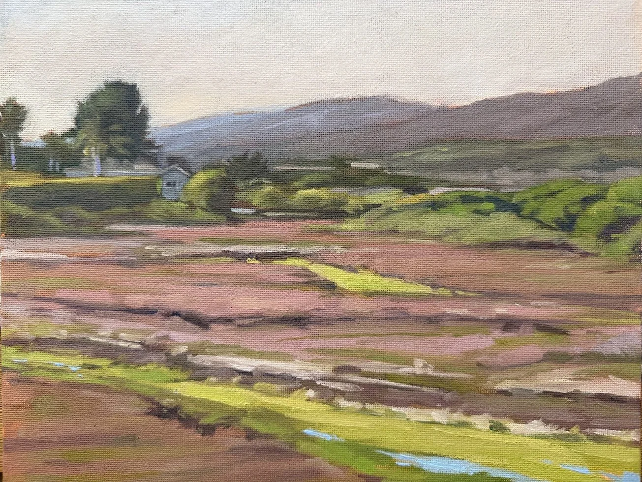 carpinteria salt marsh.jpg