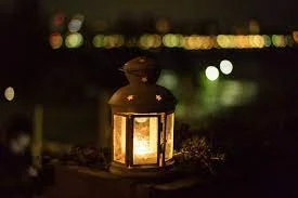 Nature Viewing Gathering By Lantern light- Natural Bridge. qld