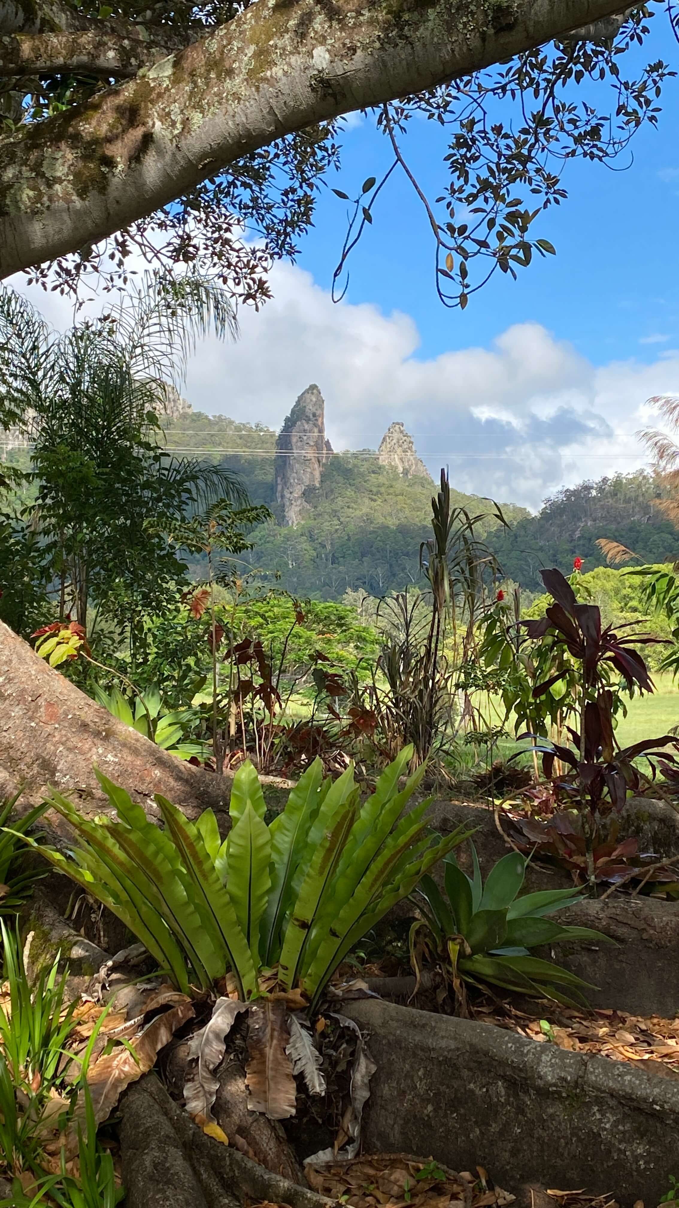 Autumn Art & Nature Wellness Escape - Nimbin. NSW