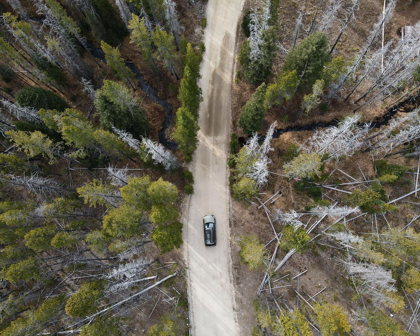 Backroad Cruising 

#carcamping #roadtoridge #camperconversion #camperbuild #subarucamper #subaruoutback #suvcamper #travel #vanlife #hiking #backcountry