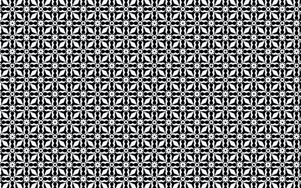 Patterns created especially for Feminism School echoing the bird shape in different form.