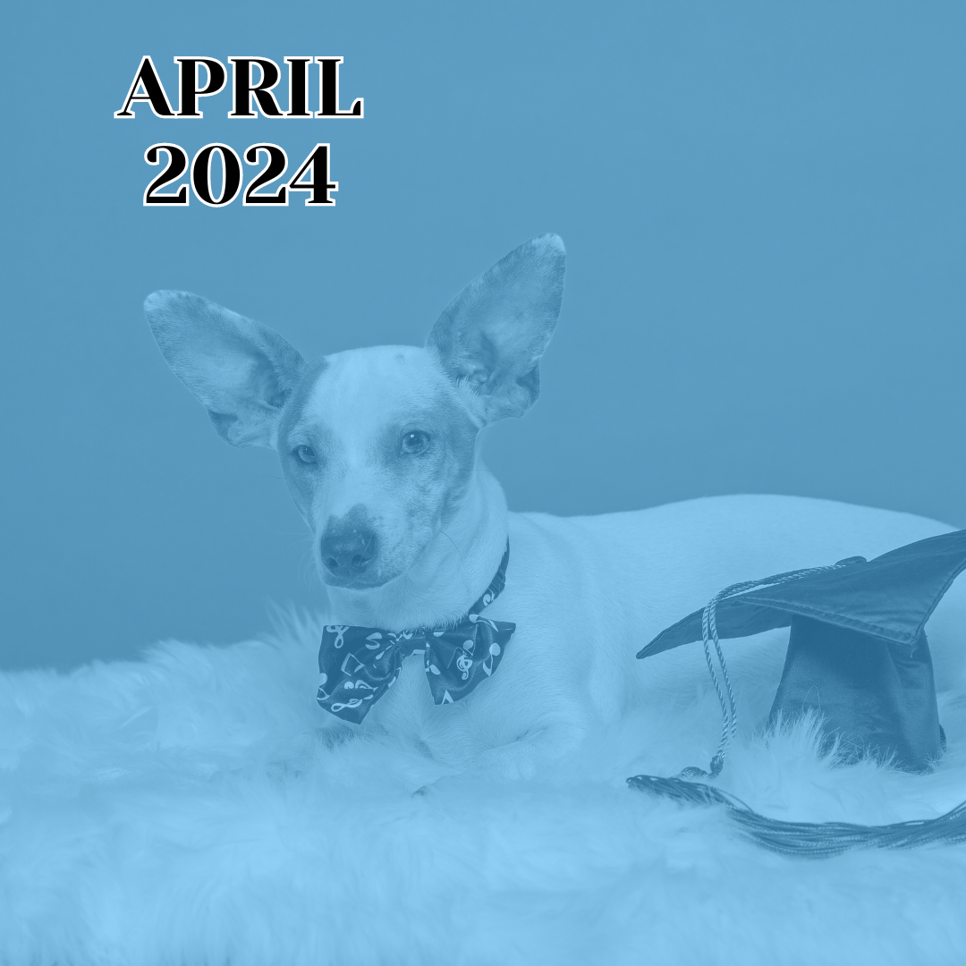 TLC April 2024 Newsletter