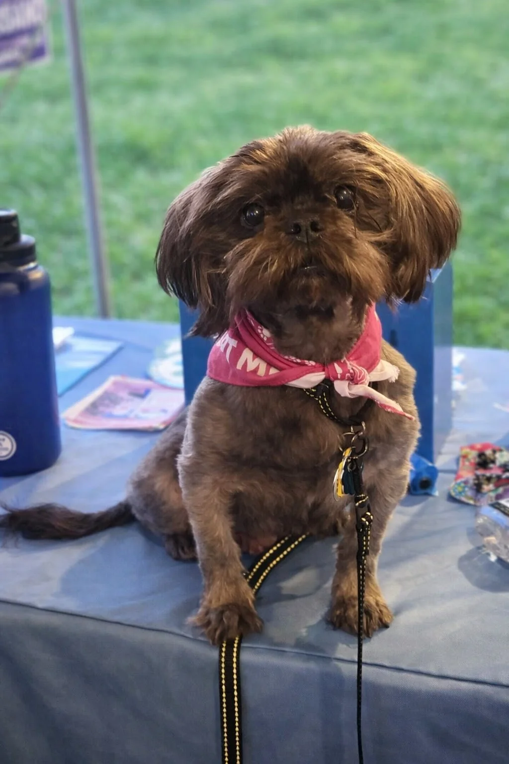 ChatGPT Image Feb 18, 2026, 01_34_58 PM.jpg