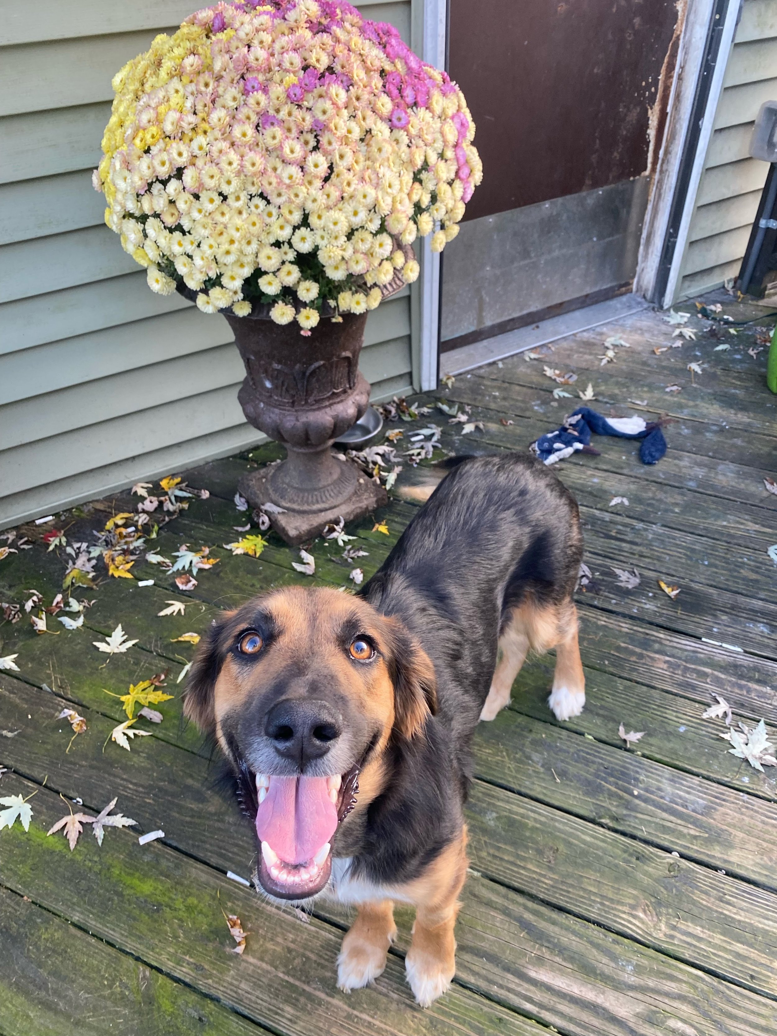 Image 3024.0x4032.0 (1).jpg