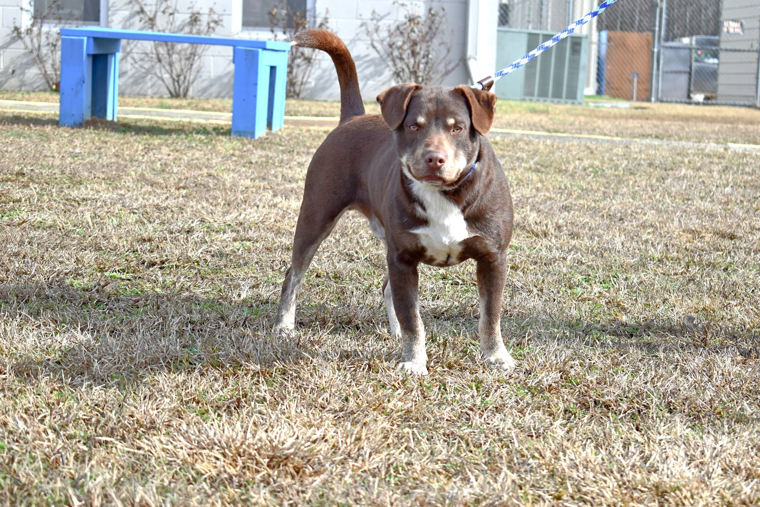 tails-from-corinth-2024-gallerybottomofpage-Brian grin edited.jpg