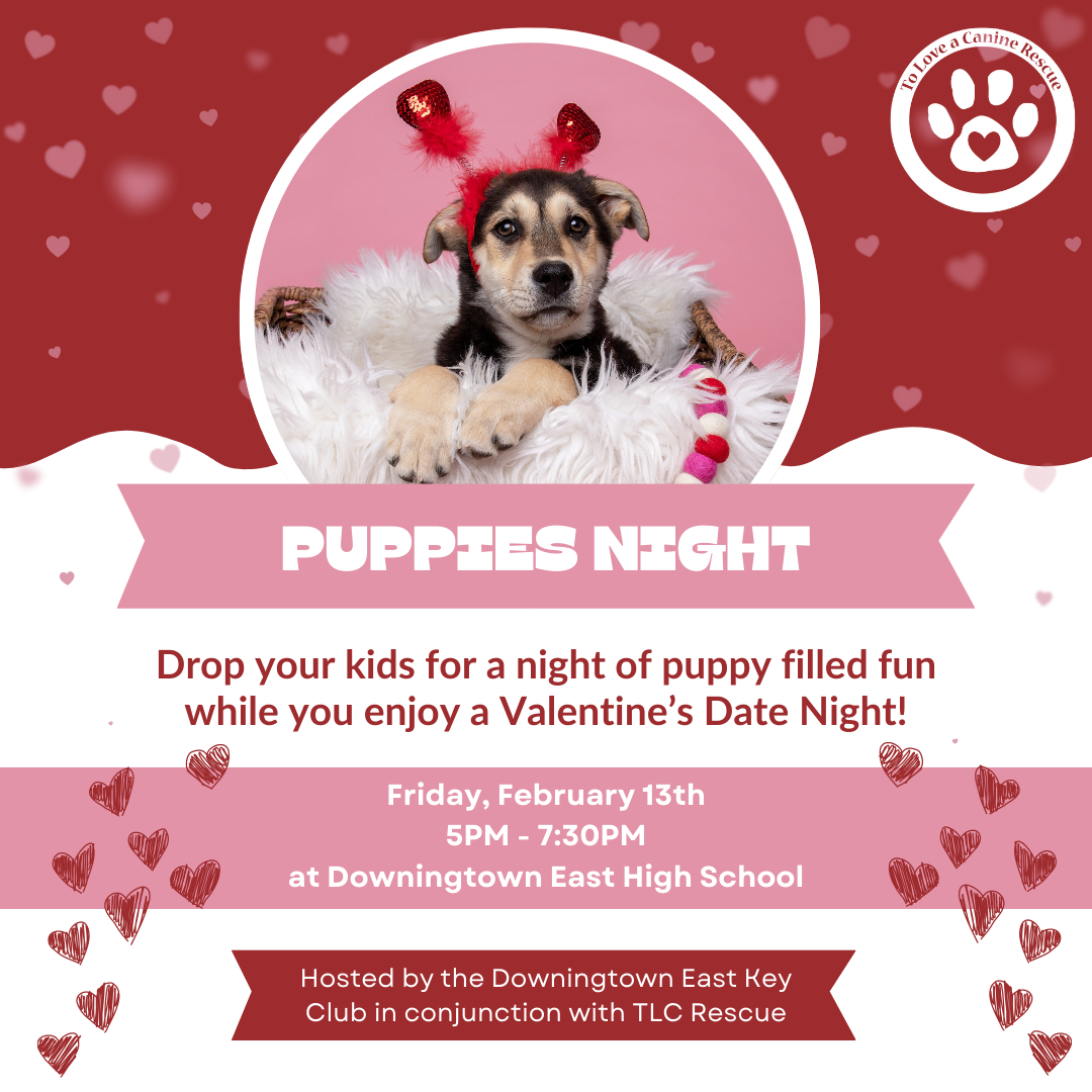 Valentine's Puppies Night