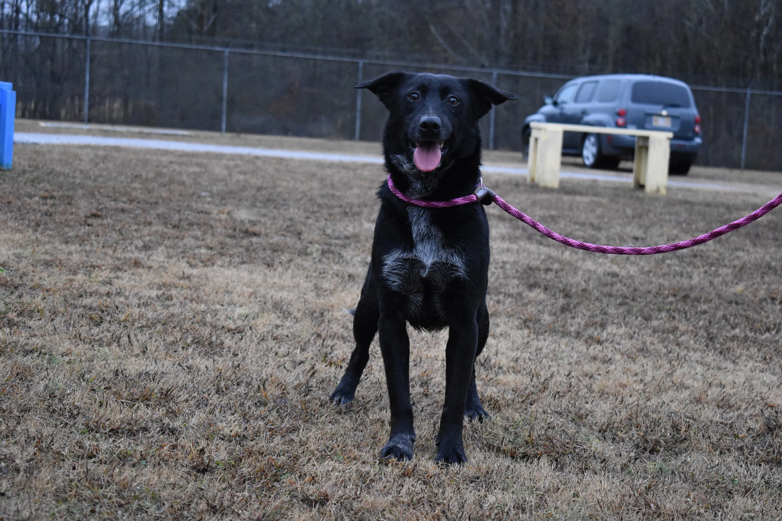 tails-from-corinth-2024-banner-Spike 2.jpg