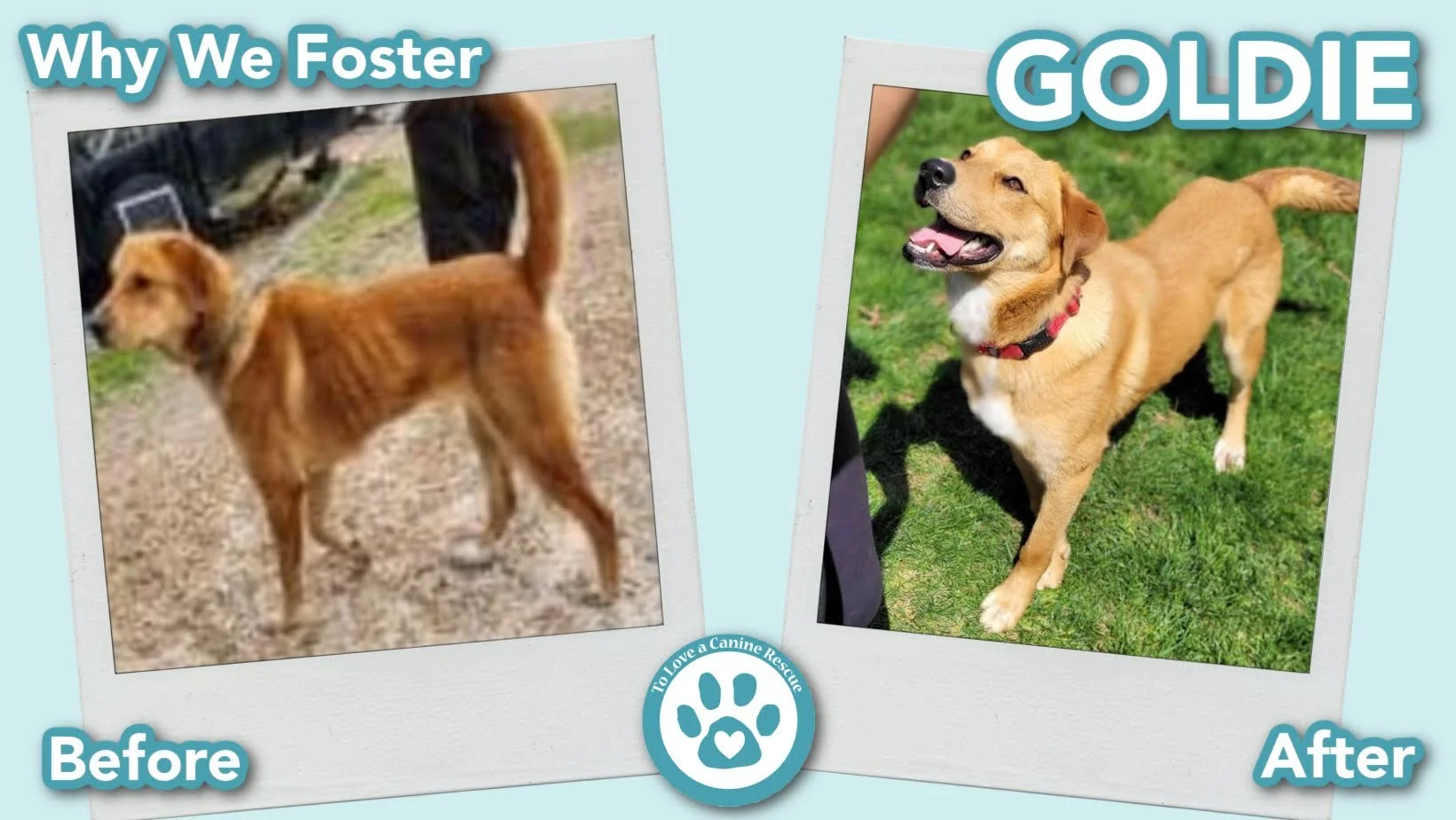 donate-gallery-Roseanna (Before&After) - for website  copy (12).jpg
