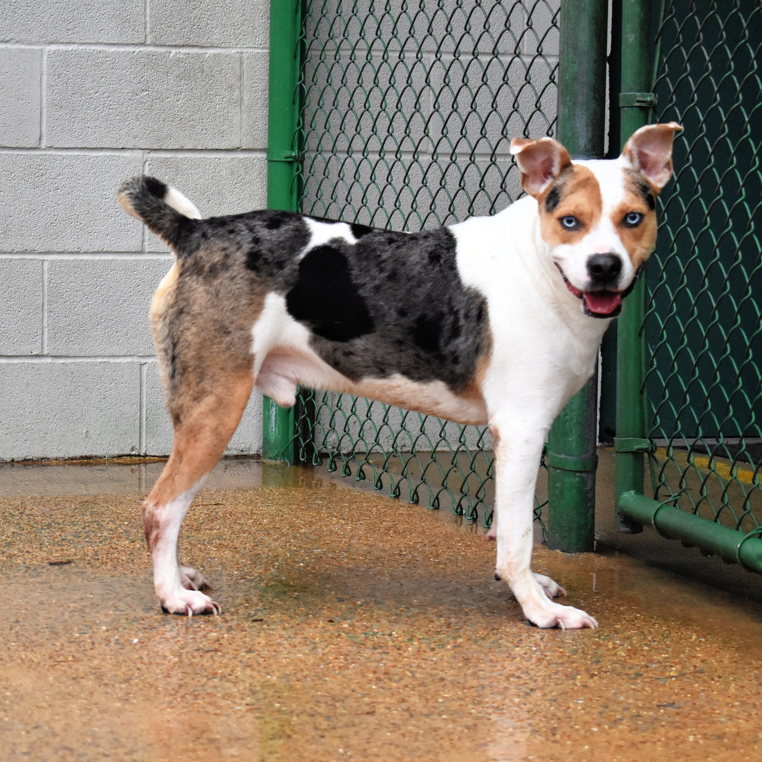 tails-from-corinth-2024-gallerybottomofpage-Frank 4.jpg